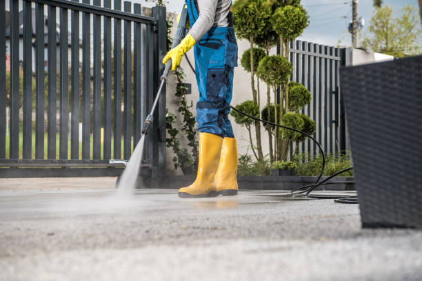 Best Exterior Home Cleaning  in Dudley, NC