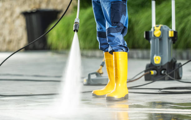 Best Local Pressure Washing Services  in Dudley, NC