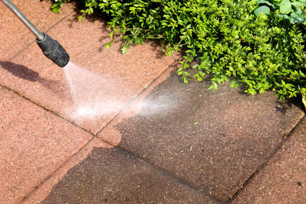 Best Residential Pressure Washing Services  in Dudley, NC